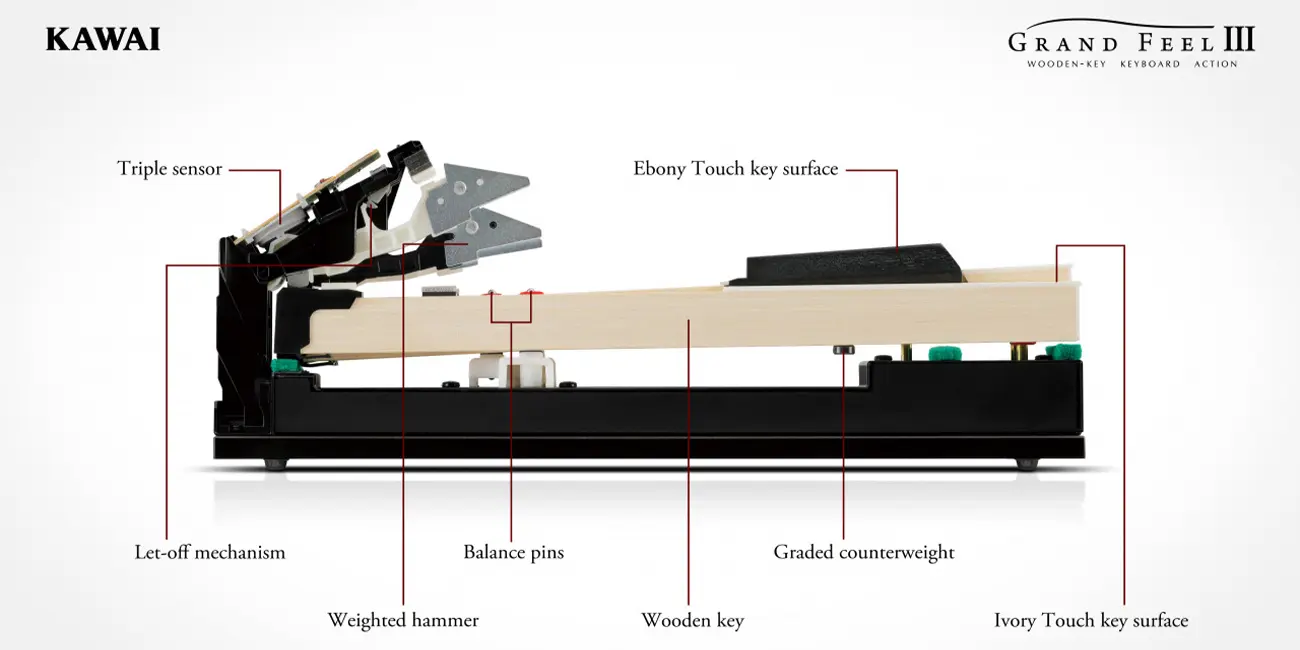 Kawai CA901 cross-section diagram of the Grand Feel III keyboard action