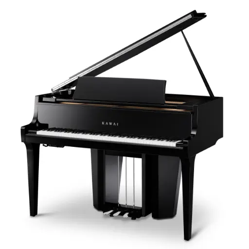 aile noire NV12