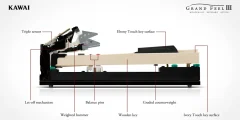 Kawai CA 701 graphique en coupe du piano numérique